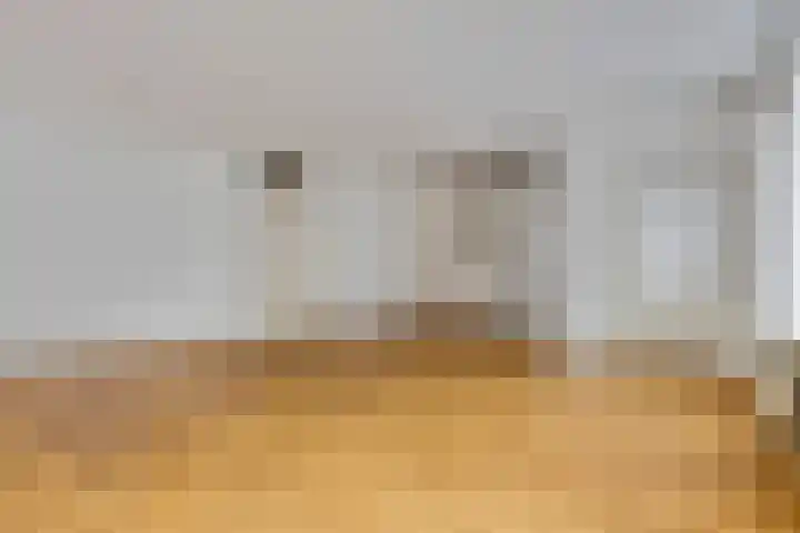 Bram van den Berghstraat 67 Oss thumbnail 4
