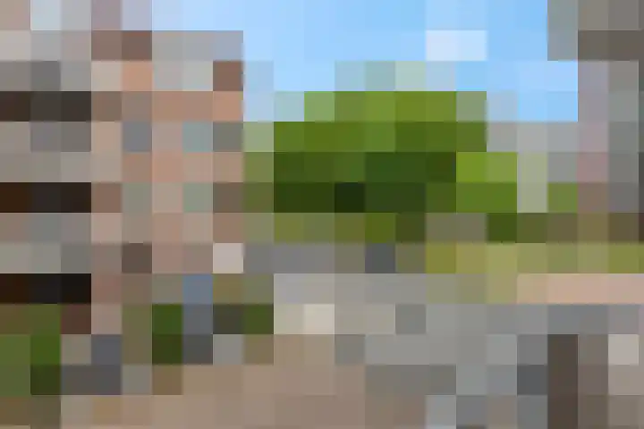 Bram van den Berghstraat 67 Oss thumbnail 9