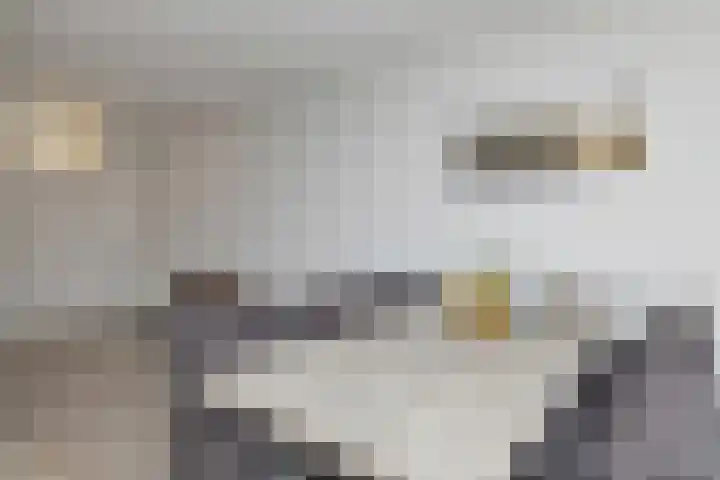 Bram van den Berghstraat 73 Oss thumbnail 15
