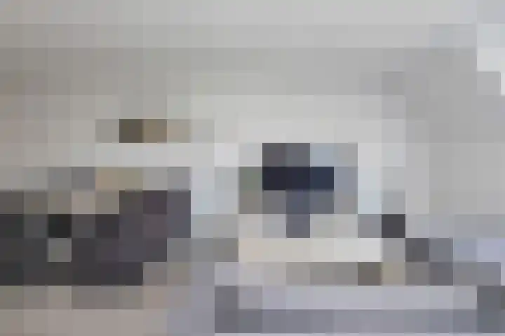 Bram van den Berghstraat 73 Oss thumbnail 21