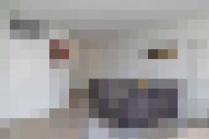 Bram van den Berghstraat 73 Oss thumbnail 23
