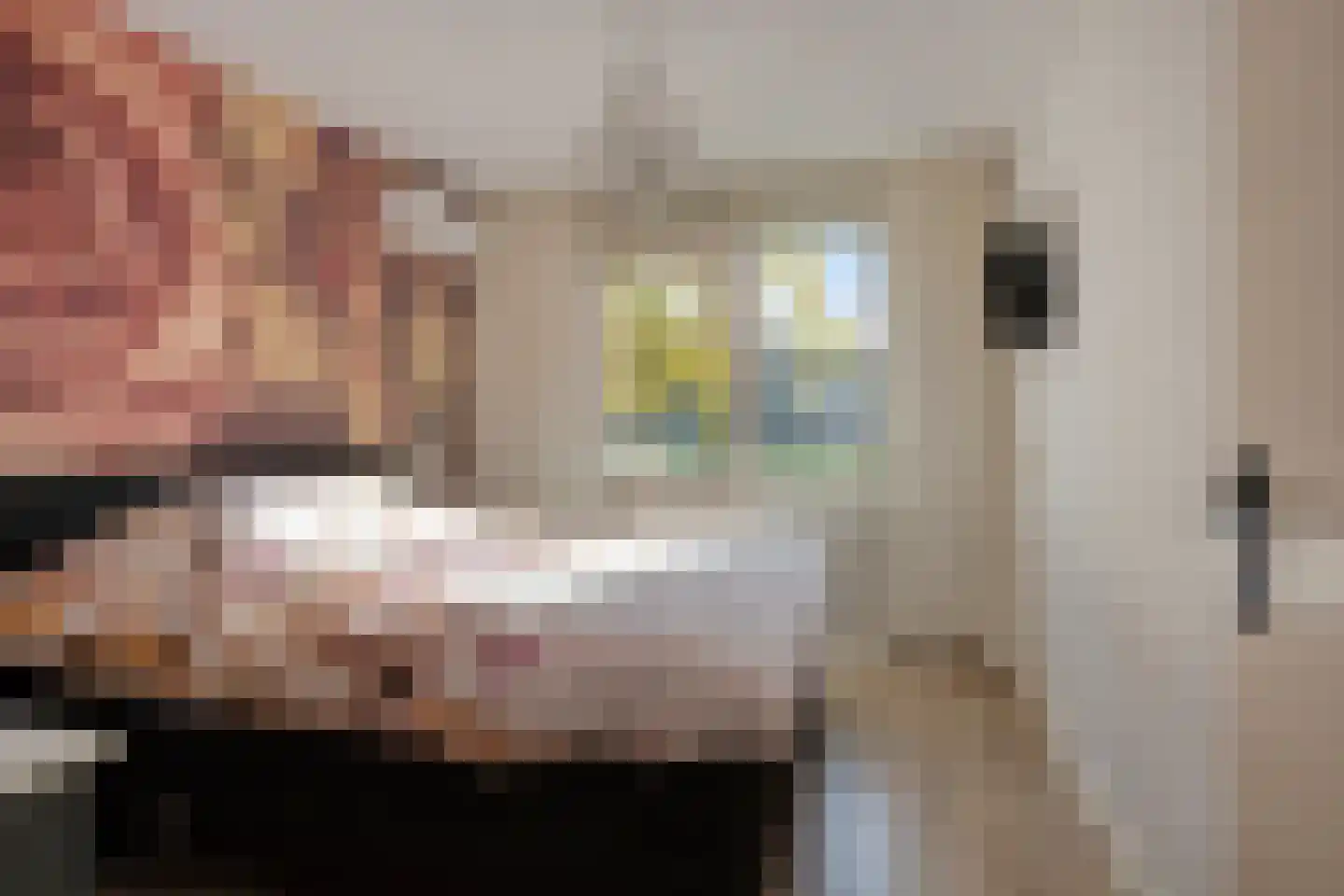 Bram van den Berghstraat 81 Oss thumbnail 11