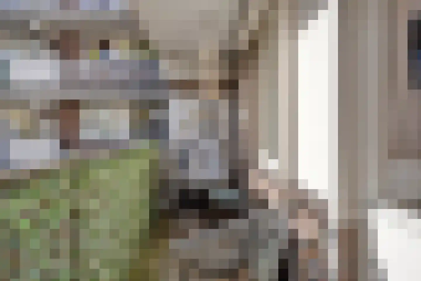 Bram van den Berghstraat 81 Oss thumbnail 12