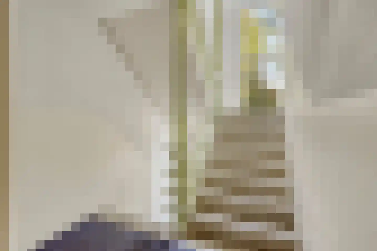 Bram van den Berghstraat 81 Oss thumbnail 16