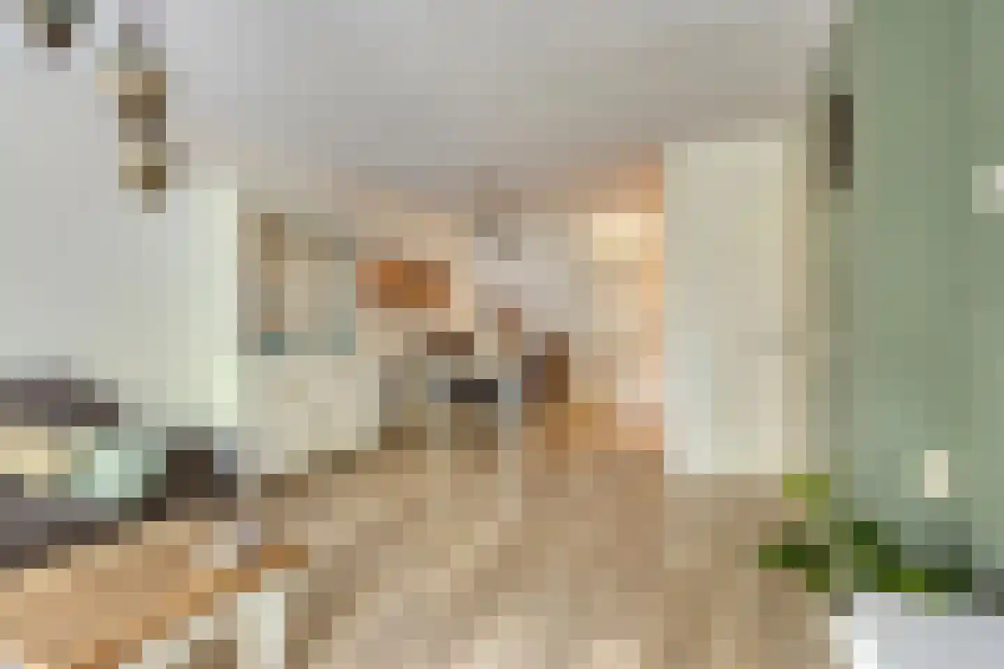 Bram van den Berghstraat 81 Oss thumbnail 5