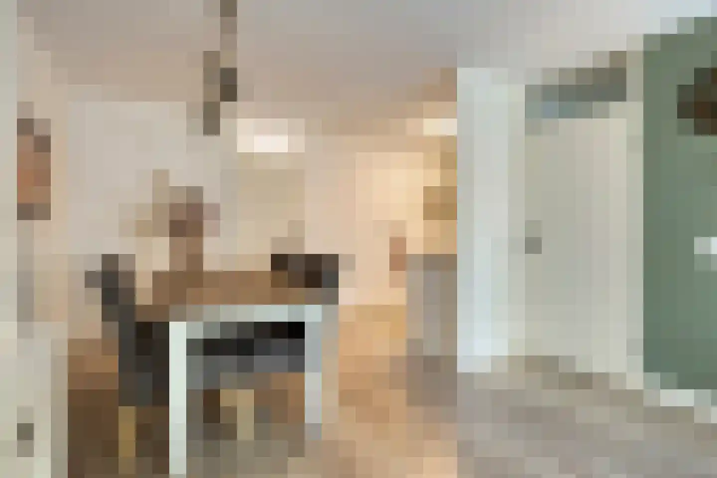 Bram van den Berghstraat 81 Oss thumbnail 6