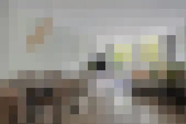 Bram van den Berghstraat 97 Oss thumbnail 12