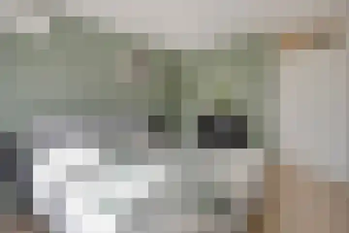 Bram van den Berghstraat 97 Oss thumbnail 18