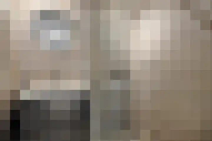 Bram van den Berghstraat 97 Oss thumbnail 21