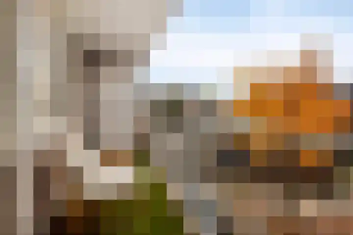 Bram van den Berghstraat 97 Oss thumbnail 22