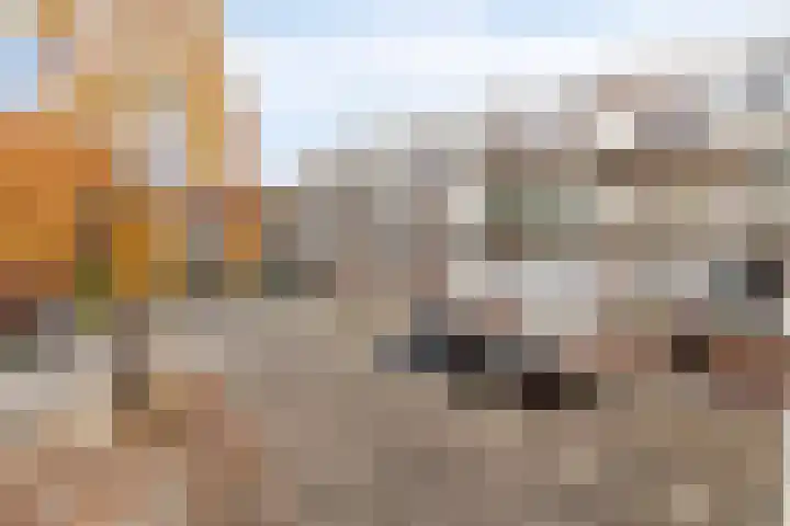 Bram van den Berghstraat 97 Oss thumbnail 23