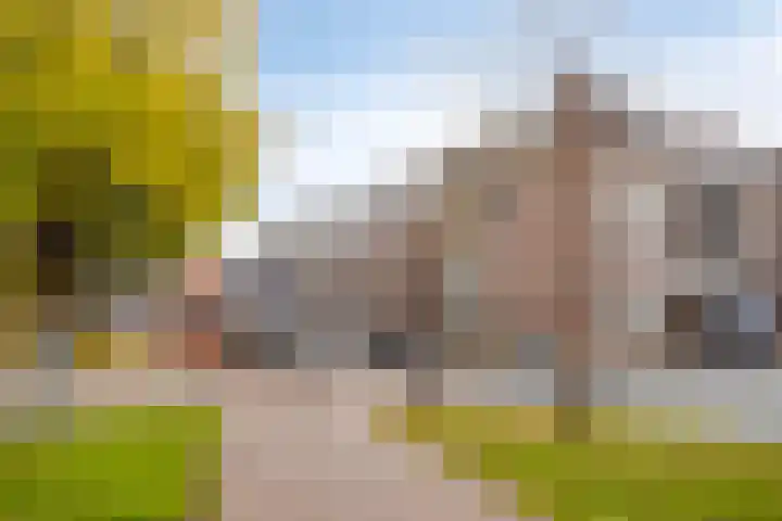 Bram van den Berghstraat 97 Oss thumbnail 25