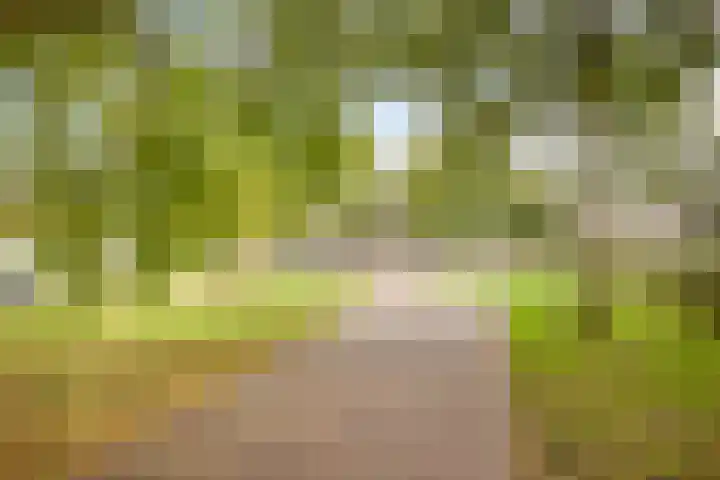 Bram van den Berghstraat 97 Oss thumbnail 27