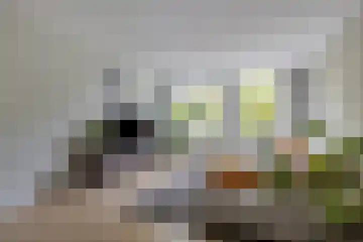 Bram van den Berghstraat 97 Oss thumbnail 9