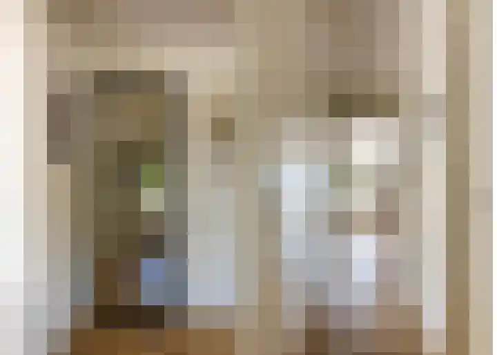 Bram van Veldestraat 46 Zoeterwoude thumbnail 24