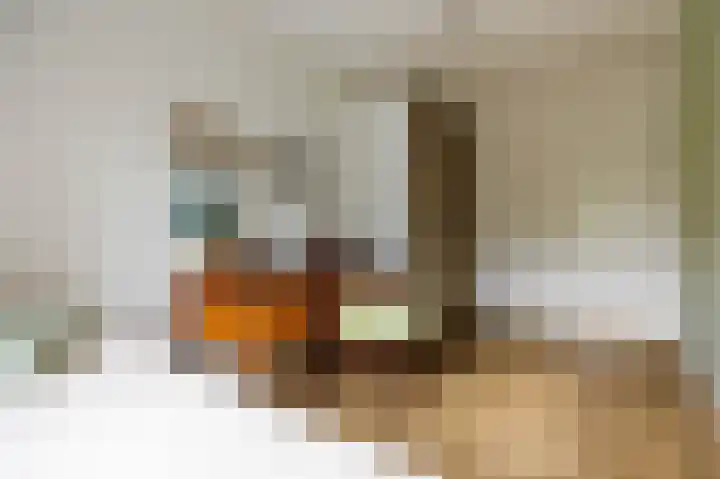 Bram van Veldestraat 46 Zoeterwoude thumbnail 29