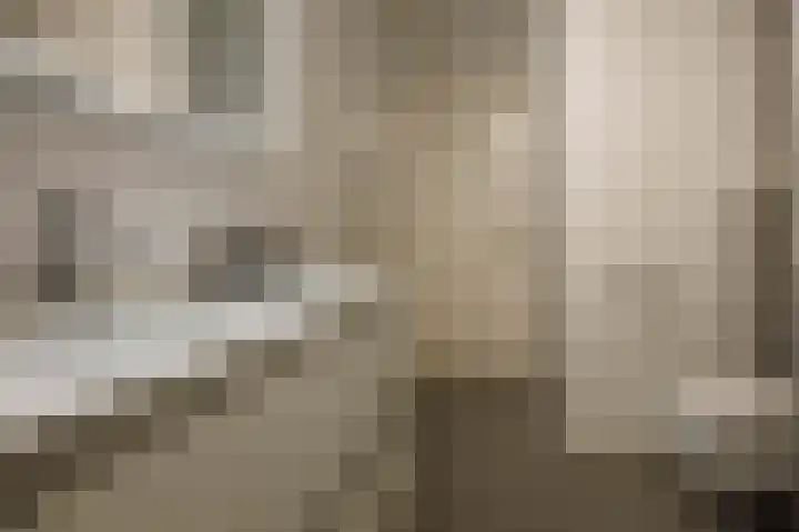 Bram van Veldestraat 46 Zoeterwoude thumbnail 35