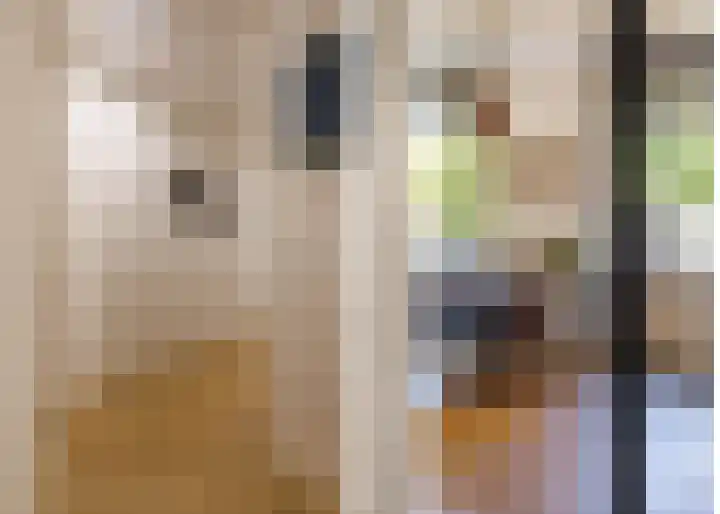 Bram van Veldestraat 46 Zoeterwoude thumbnail 8