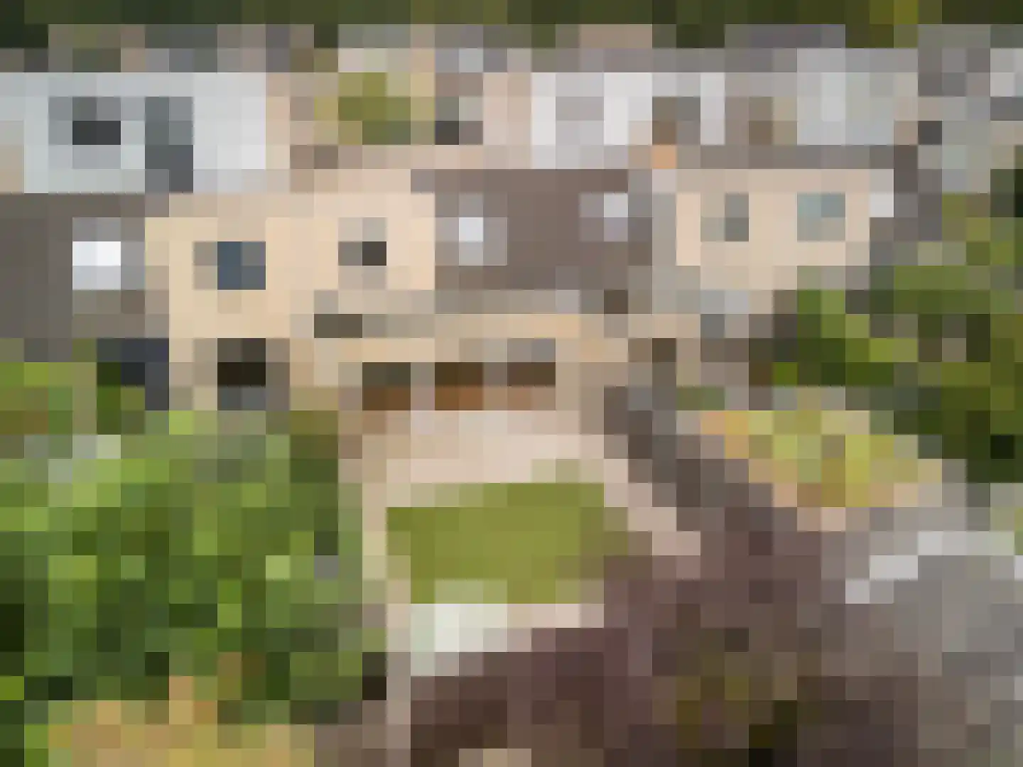 Bramantestraat 14 Amersfoort thumbnail 25