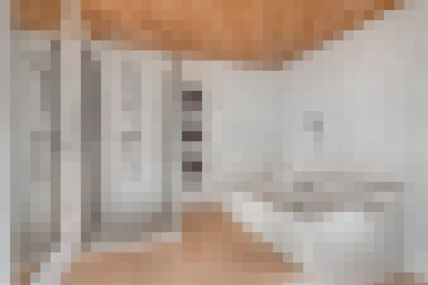 Bramenbos 21 Sint-Michielsgestel thumbnail 22