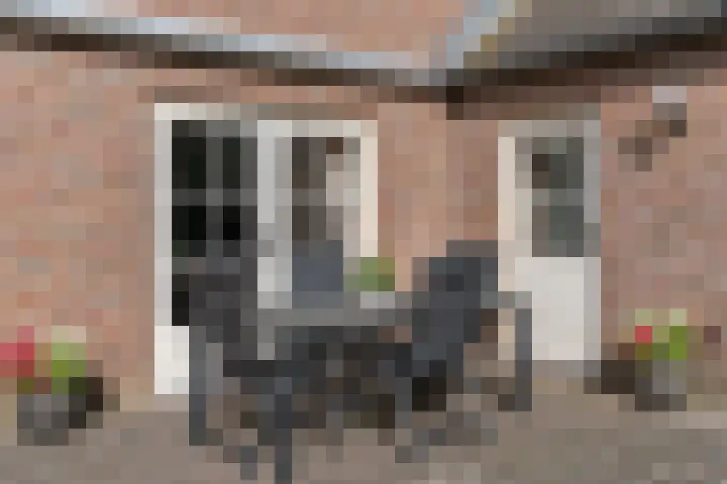 Bramenbos 21 Sint-Michielsgestel thumbnail 28