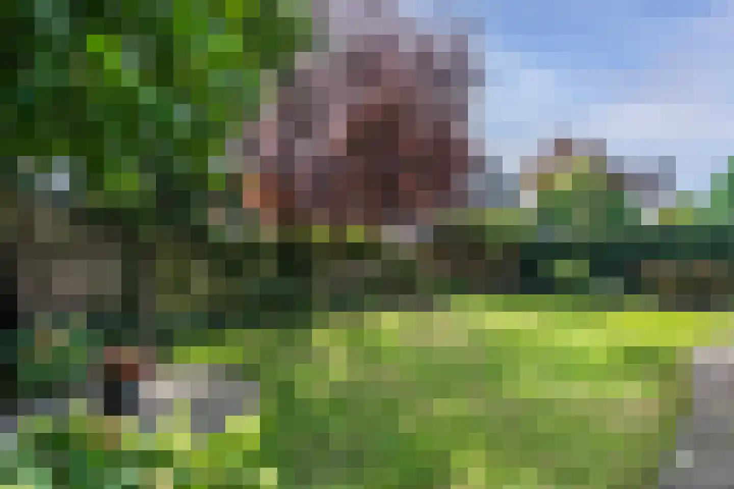 Bramenbos 21 Sint-Michielsgestel thumbnail 4
