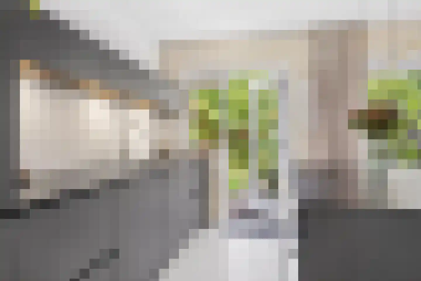 Bramengaard 34 Wijk bij Duurstede thumbnail 11