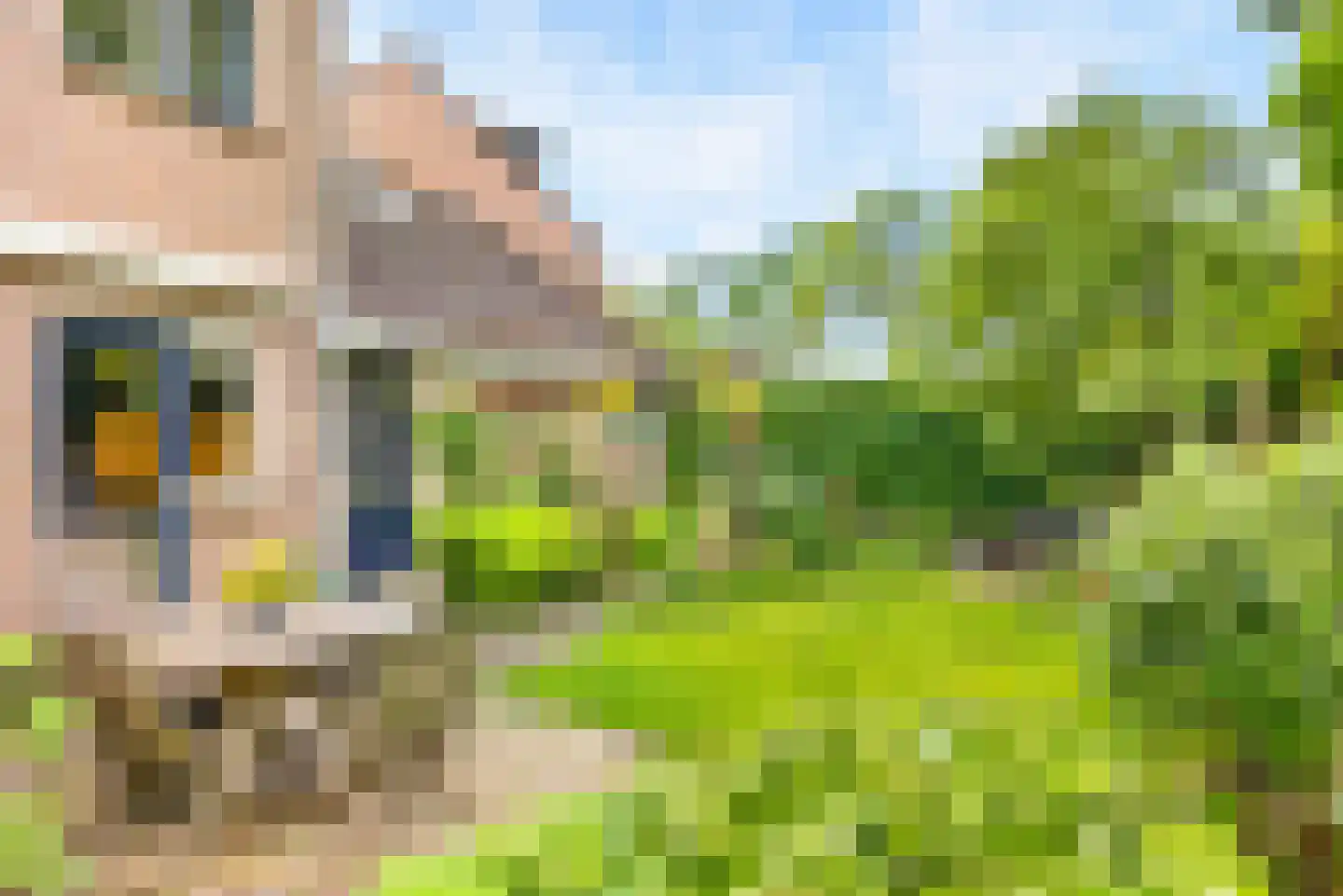Bramengaard 34 Wijk bij Duurstede thumbnail 15