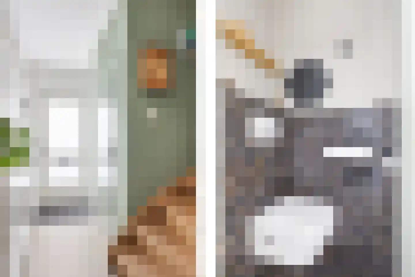 Bramengaard 34 Wijk bij Duurstede thumbnail 17