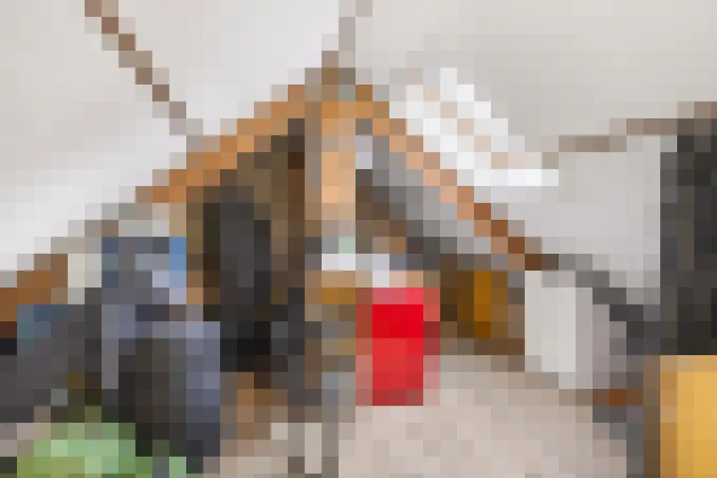 Bramengaard 34 Wijk bij Duurstede thumbnail 28