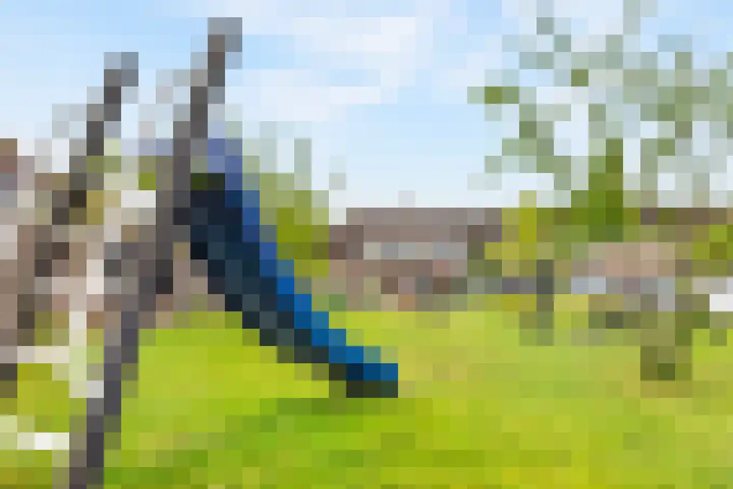 Bramengaard 34 Wijk bij Duurstede thumbnail 32
