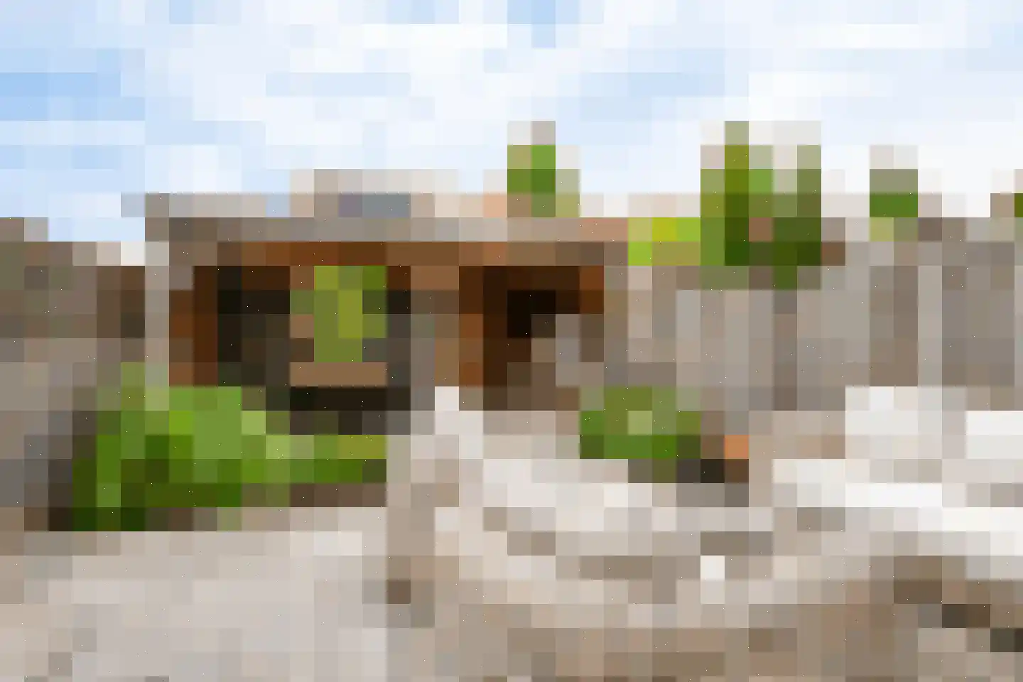 Bramengaarde 184 Hendrik-Ido-Ambacht thumbnail 4