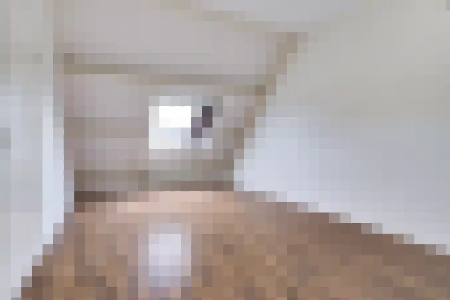 Bramengaarde 35 Houten thumbnail 29
