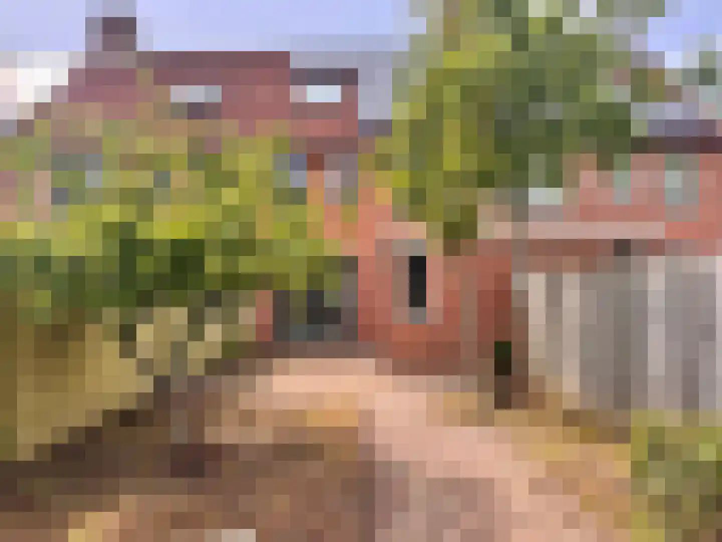 Bramengaarde 35 Houten thumbnail 36