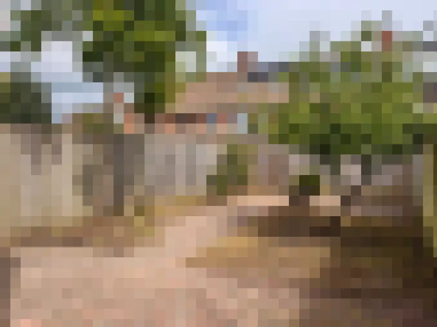 Bramengaarde 35 Houten thumbnail 37