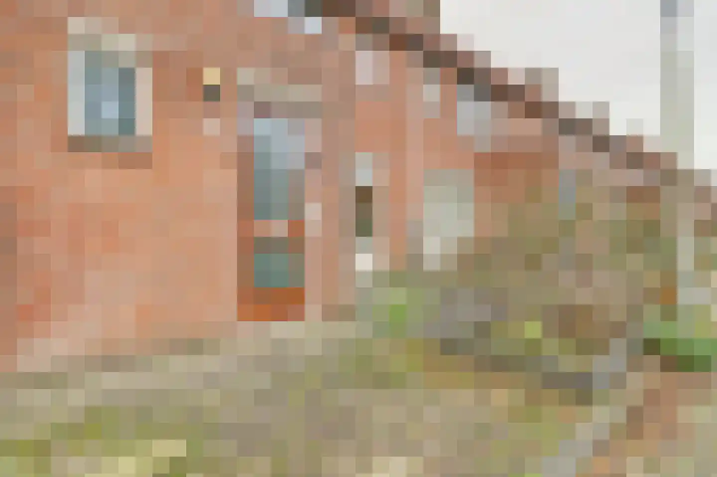 Bramengaarde 35 Houten thumbnail 5