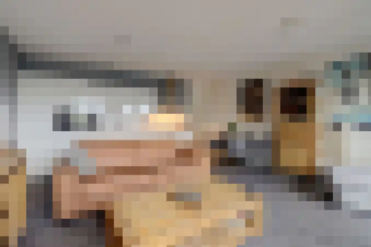 Bramengaarde 45 Hendrik-Ido-Ambacht thumbnail 8