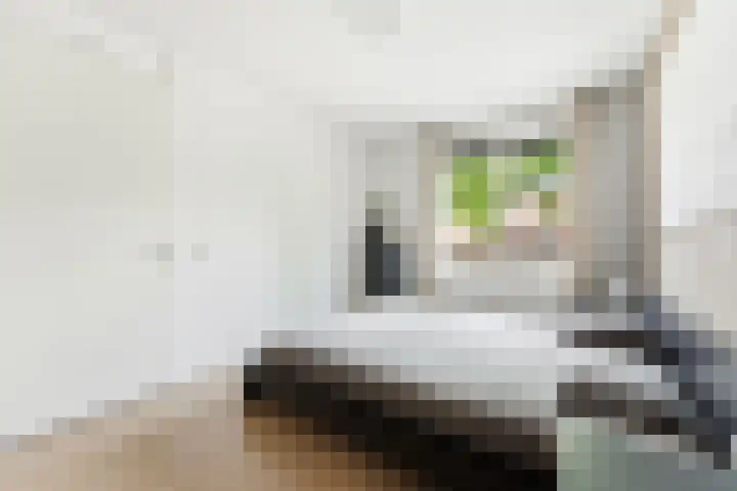 Bramengaarde 83 Hendrik-Ido-Ambacht thumbnail 4