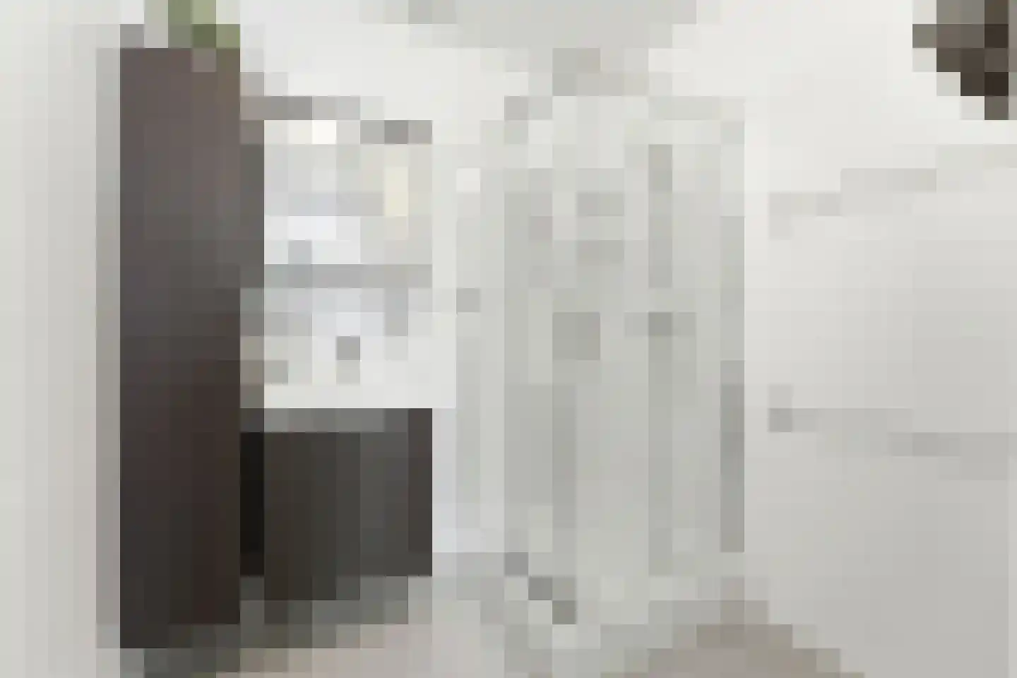 Bramengaarde 83 Hendrik-Ido-Ambacht thumbnail 6