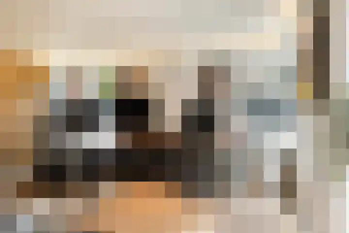 Bramengaarde 98 Hendrik-Ido-Ambacht thumbnail 12