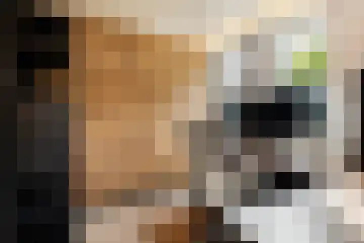 Bramengaarde 98 Hendrik-Ido-Ambacht thumbnail 13