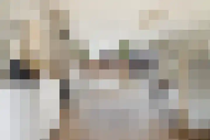Bramengaarde 98 Hendrik-Ido-Ambacht thumbnail 14