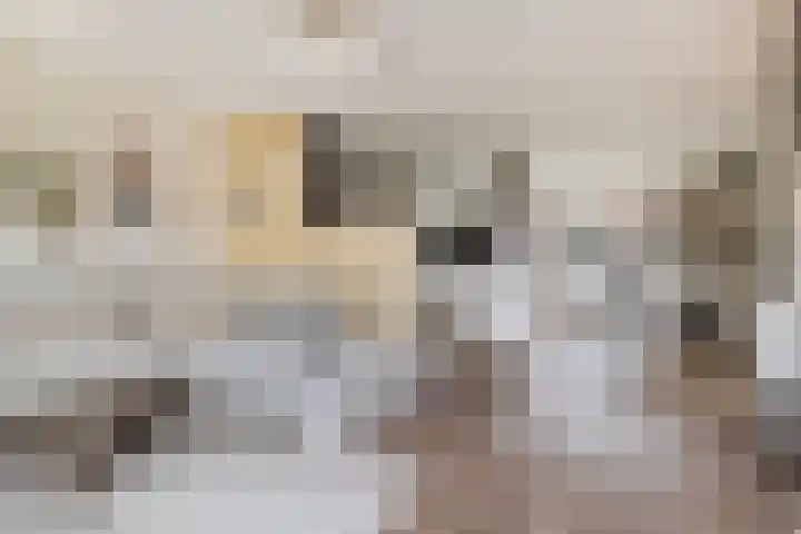 Bramengaarde 98 Hendrik-Ido-Ambacht thumbnail 15