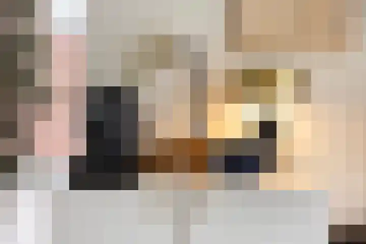 Bramengaarde 98 Hendrik-Ido-Ambacht thumbnail 18