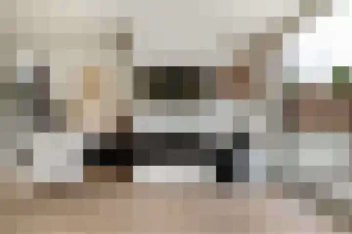 Bramengaarde 98 Hendrik-Ido-Ambacht thumbnail 20