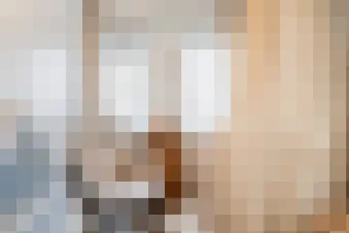 Bramengaarde 98 Hendrik-Ido-Ambacht thumbnail 32