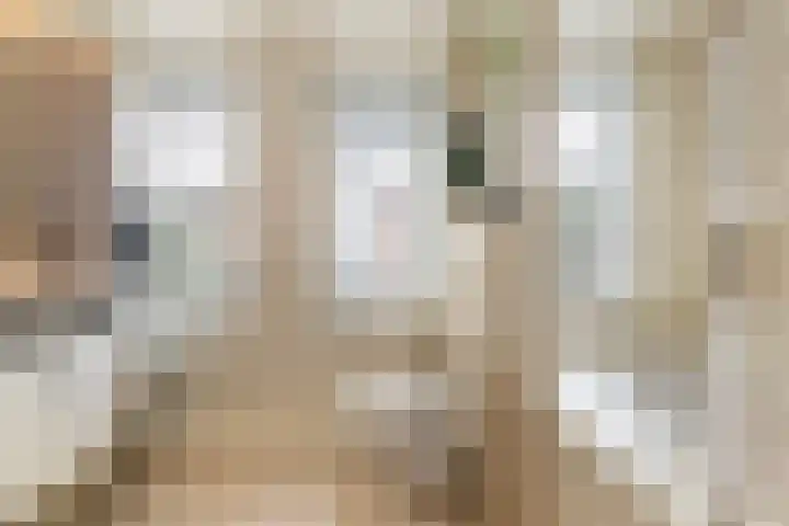 Bramengaarde 98 Hendrik-Ido-Ambacht thumbnail 35