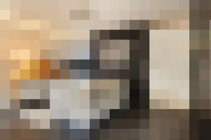 Bramengaarde 98 Hendrik-Ido-Ambacht thumbnail 5