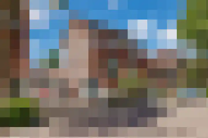 Bramengaarde 98 Hendrik-Ido-Ambacht thumbnail 6