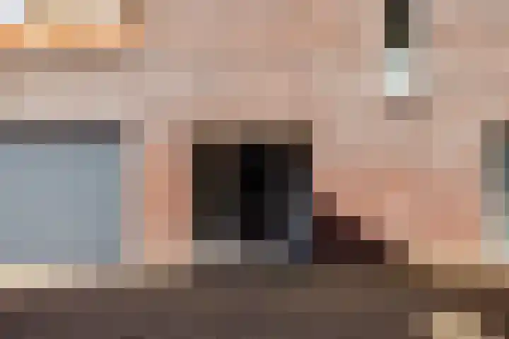 Bramengaarde 98 Hendrik-Ido-Ambacht thumbnail 8